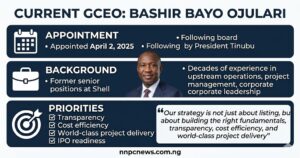 Three sections showing appointment April 2 2025, background former Shell senior positions, and priorities transparency cost efficiency world-class project delivery IPO readiness with quote