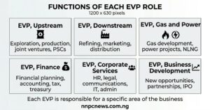 Six cards showing EVP Upstream functions exploration production joint ventures PSCs, EVP Downstream refining marketing distribution, EVP Gas and Power gas development power projects NLNG, EVP Finance financial planning accounting tax treasury, EVP Corporate Services HR legal communications IT admin, EVP Business Development new opportunities partnerships IPO