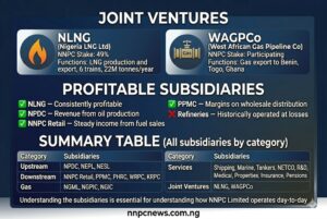 Top section two joint venture cards NLNG with 49 percent stake for LNG production and export, WAGPCo for gas export to Benin Togo Ghana. Middle section profitable subsidiaries NLNG consistently profitable, NPDC revenue from oil production, NNPC Retail steady income, PPMC wholesale margins, refineries operating at losses. Bottom section summary table listing all subsidiaries by category Upstream NPDC NEPL NESL, Downstream NNPC Retail PPMC PHRC WRPC KRPC, Gas NGML NGPIC NGIC,Services nine subsidiaries, Joint Ventures NLNG WAGPCo