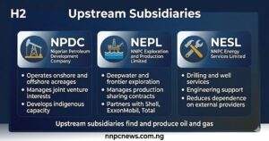 Three cards showing NPDC Nigerian Petroleum Development Company for onshore and offshore operations and joint ventures, NEPL NNPC Exploration and Production Limited for deepwater exploration and production sharing contracts, NESL NNPC Energy Services Limited for drilling well services and engineering support