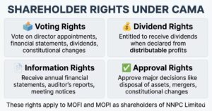 Four cards showing shareholder rights under CAMA including voting rights to vote on director appointments and financial statements, dividend rights to receive dividends, information rights to receive annual reports, and approval rights for major decisions